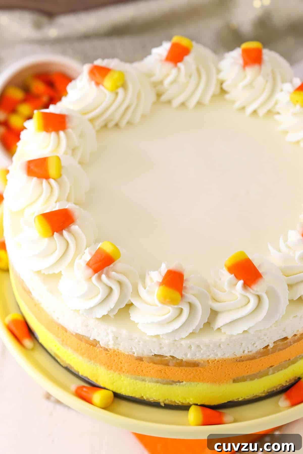 No-Bake Candy Corn Dream 5 Top-down view of the assembled Candy Corn Icebox Cake, showing the smooth white top layer before decoration.