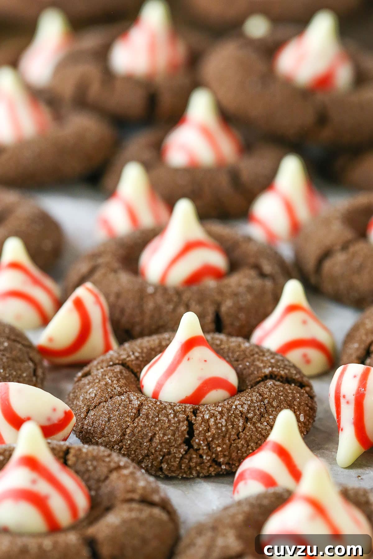 Irresistible Peppermint Chocolate Thumbprint Cookies topped with festive Hershey Kisses for the holidays. Close-up shot of several Peppermint Chocolate Thumbprint Cookies, showcasing their rich chocolate base and the vibrant peppermint Hershey Kisses topping.