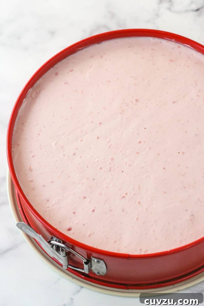 The no-bake strawberry cheesecake filling spread evenly over the crust in a springform pan, prior to chilling. An undecorated no-bake strawberry cheesecake nestled in its springform pan, showing the smooth surface of the filling, ready for chilling and eventual decoration.