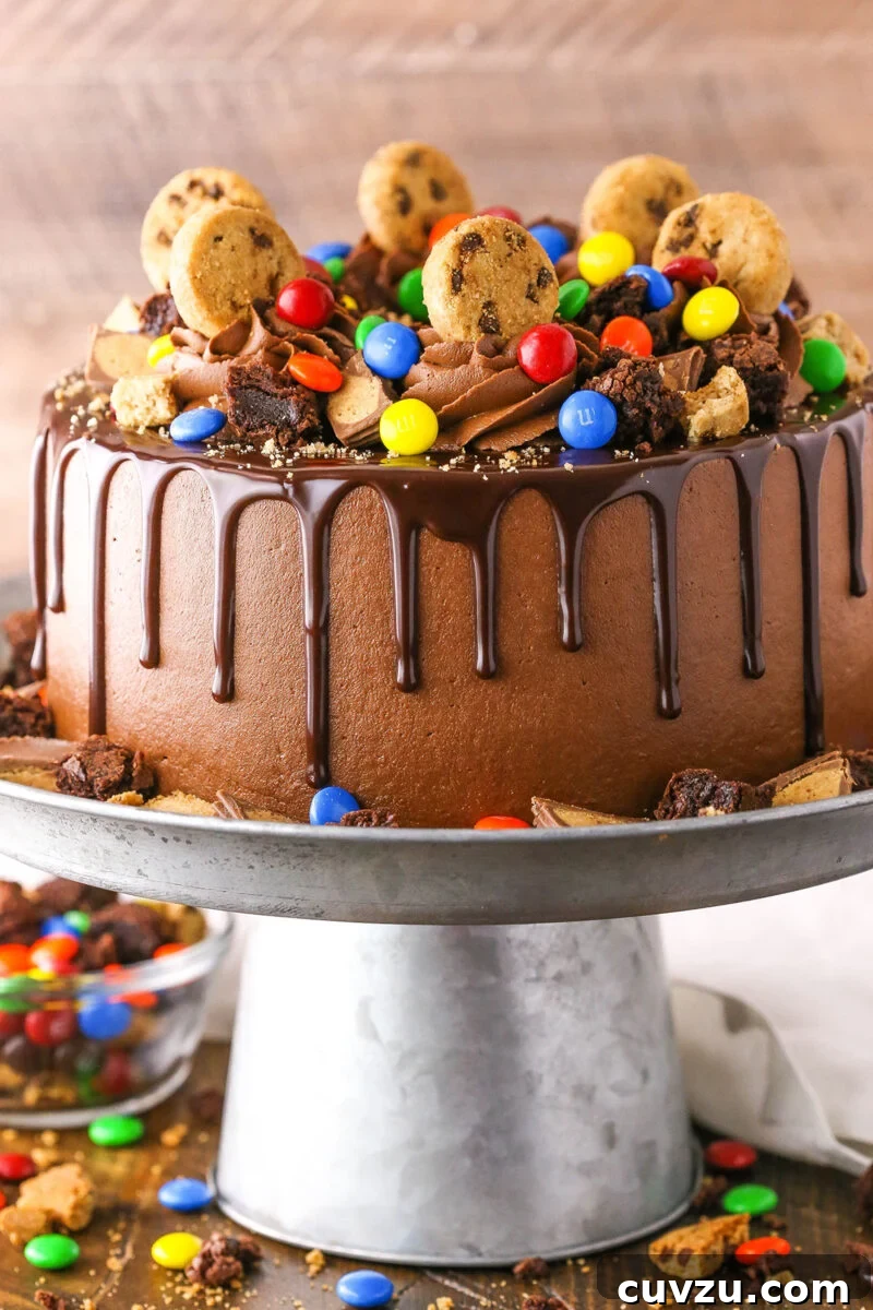 Candy Burst Chocolate Confection 8 Side view of a decorated Chocolate Piñata Cake with chocolate drip and candies on top.