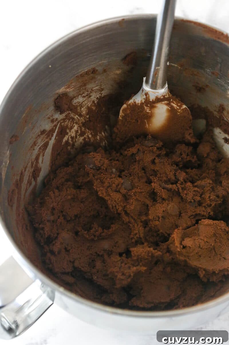 Carefully combine all ingredients to form the dough. Gently combining wet and dry ingredients, then folding in chocolate chips to create the thick chocolate cookie cake dough.