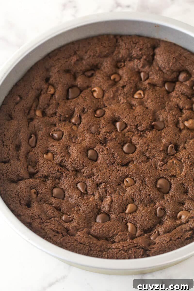 Allow the cookie cake to cool completely. The golden-brown chocolate cookie cake cooling in its cake pan after baking, displaying its perfectly baked surface.