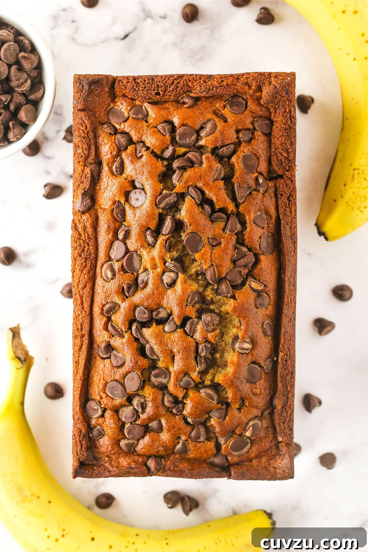 This easy Chocolate Chip Banana Bread has the moistest crumb & the softest, fluffiest texture. You'll never follow a different recipe again! A loaf of chocolate chip banana bread on a countertop with two bananas and a bowl of chocolate chips