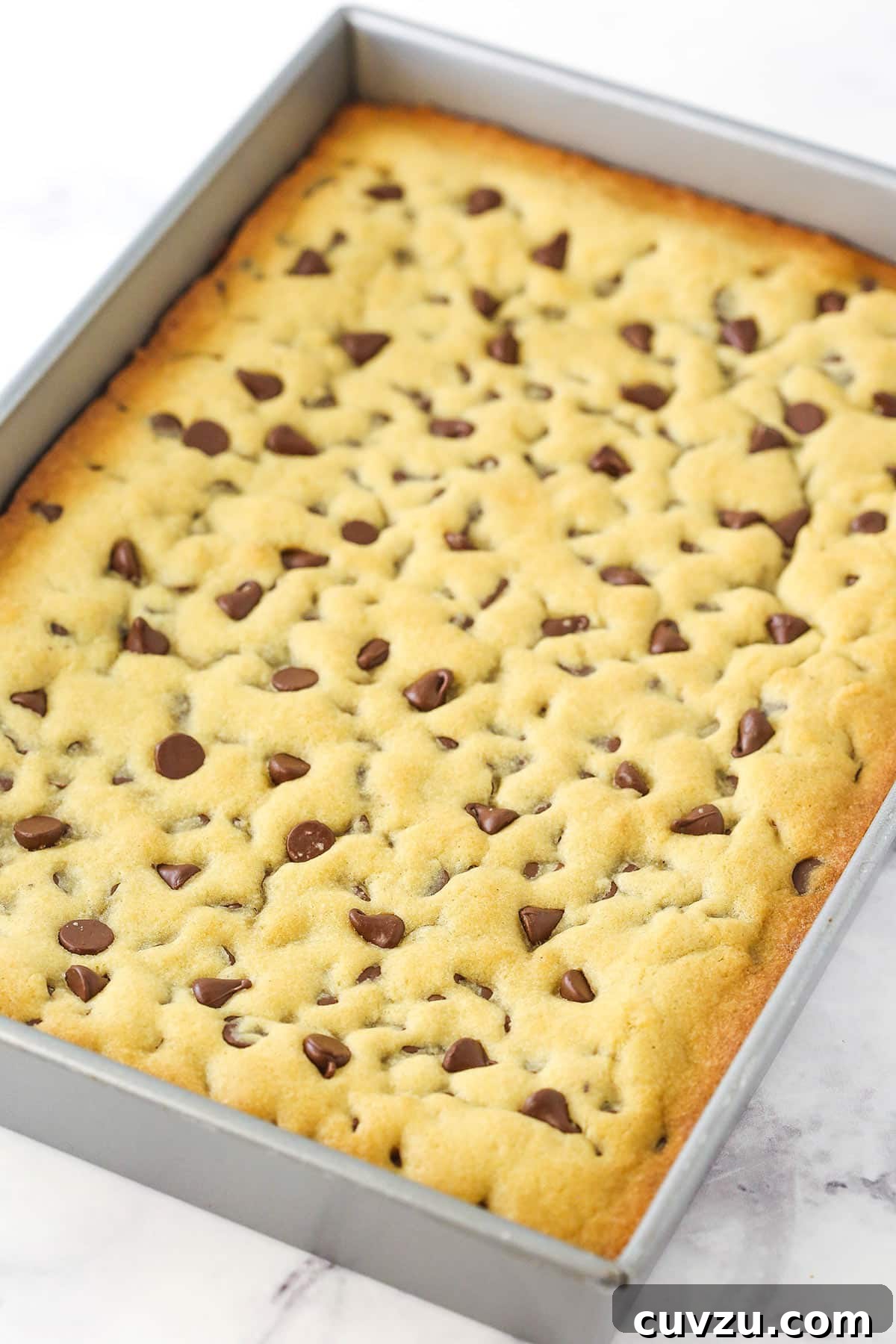 This easy Sheet Pan Cookie Cake features loads of chocolate chips and a rim of creamy chocolate frosting. It's perfect for feeding a crowd! A chocolate chip cookie cake inside of a metal sheet pan on a kitchen countertop