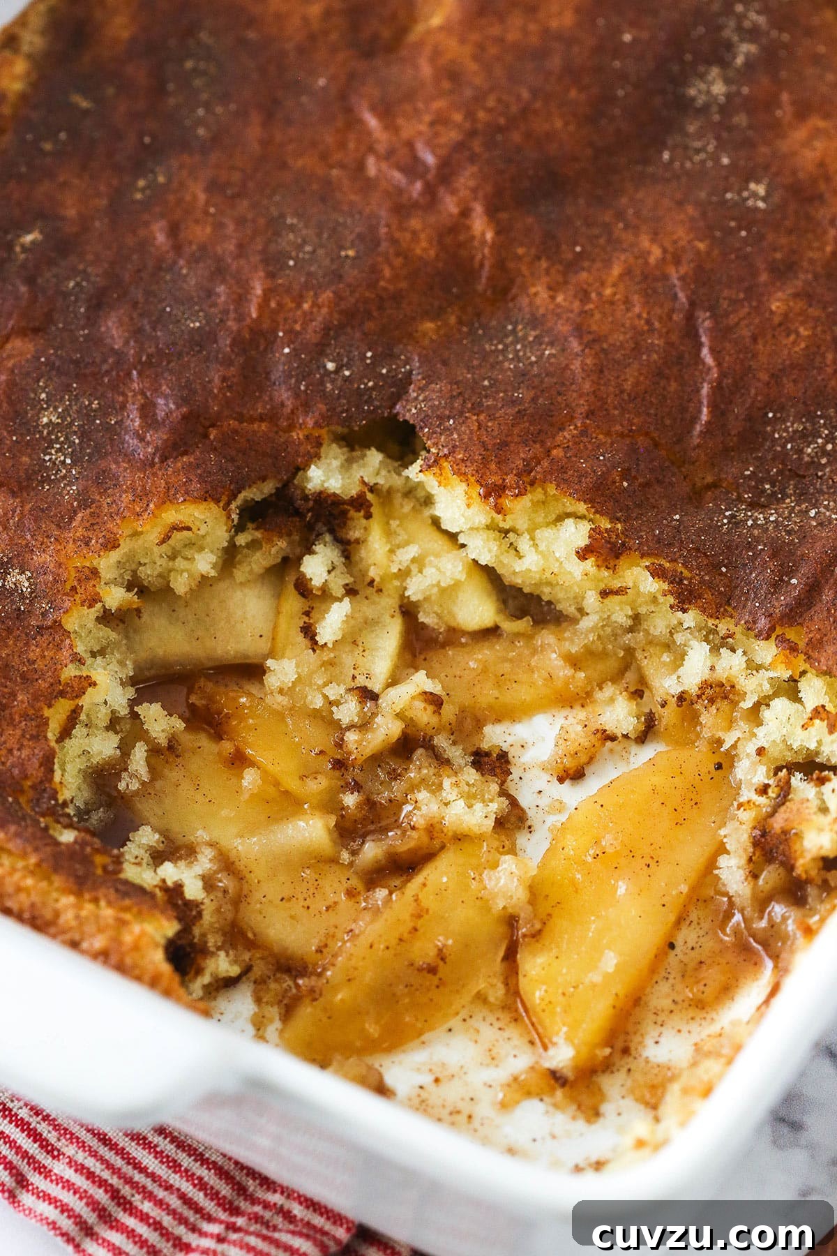 Filled with a sweet, melt-in-your-mouth cinnamon apple filling, this light and fluffy apple cobbler is truly the stuff dreams are made of! Freshly baked apple cobbler in a casserole dish with a couple of servings removed.
