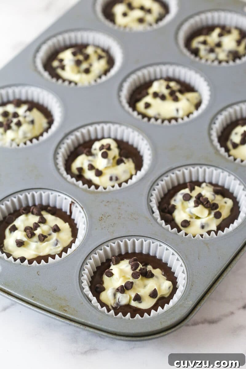 These Black Bottom Cupcakes combine two desserts in one with a rich chocolate cupcake and a creamy chocolate chip cheesecake filling. Chocolate cupcake batter and cheesecake filling in cupcake liners