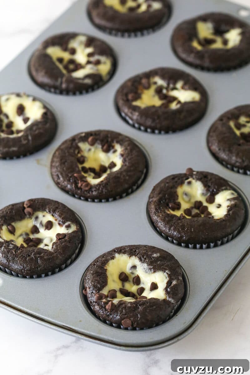 These Black Bottom Cupcakes combine two desserts in one with a rich chocolate cupcake and a creamy chocolate chip cheesecake filling. Black bottom cupcakes in a cupcake pan