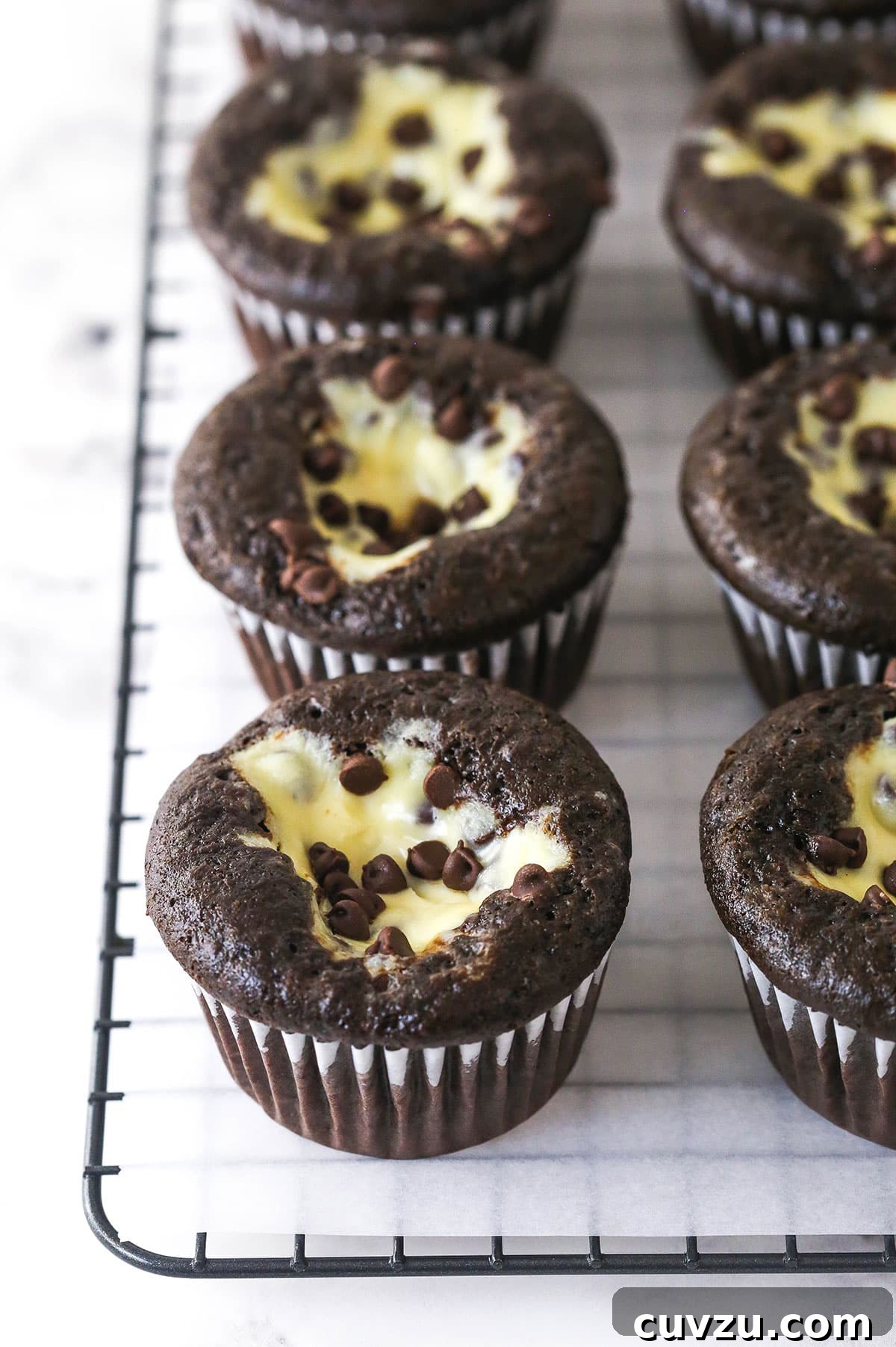These Black Bottom Cupcakes combine two desserts in one with a rich chocolate cupcake and a creamy chocolate chip cheesecake filling. Black bottom cupcakes on a wire rack