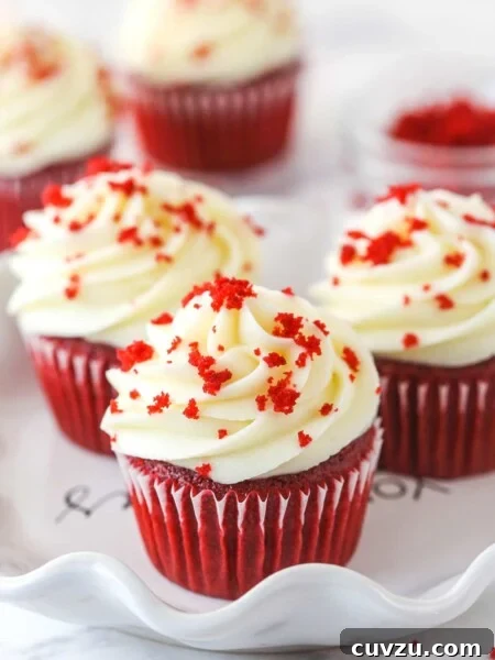 Decadent Black Bottom Cupcakes Recipe — Easy, Gooey Chocolate Centers 5 Red velvet cupcakes garnished with red velvet crumbles.