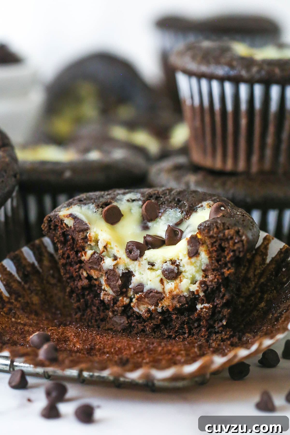 These Black Bottom Cupcakes combine two desserts in one with a rich chocolate cupcake and a creamy chocolate chip cheesecake filling. A black bottom cupcake with the wrapper pulled down and a bite missing to show the inside