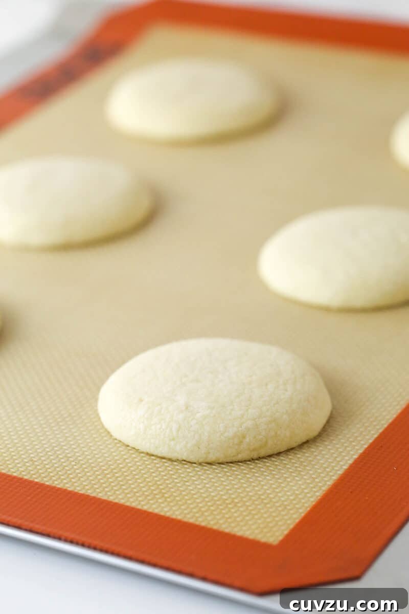 Bake until centers look set Unfrosted Lofthouse sugar cookies on a baking sheet