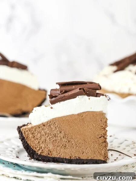 Classic Lemon Meringue Pie Recipe with Flaky Crust and Zesty Filling 8 A slice of French silk pie on a white plate.