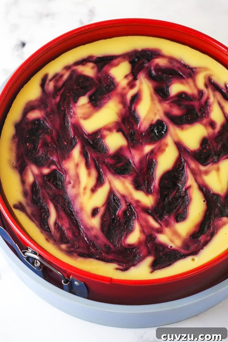 Triple Berry Cheesecake Recipe with Fresh Mixed Berries 16 baked cheesecake with berry swirl on top in springform pan