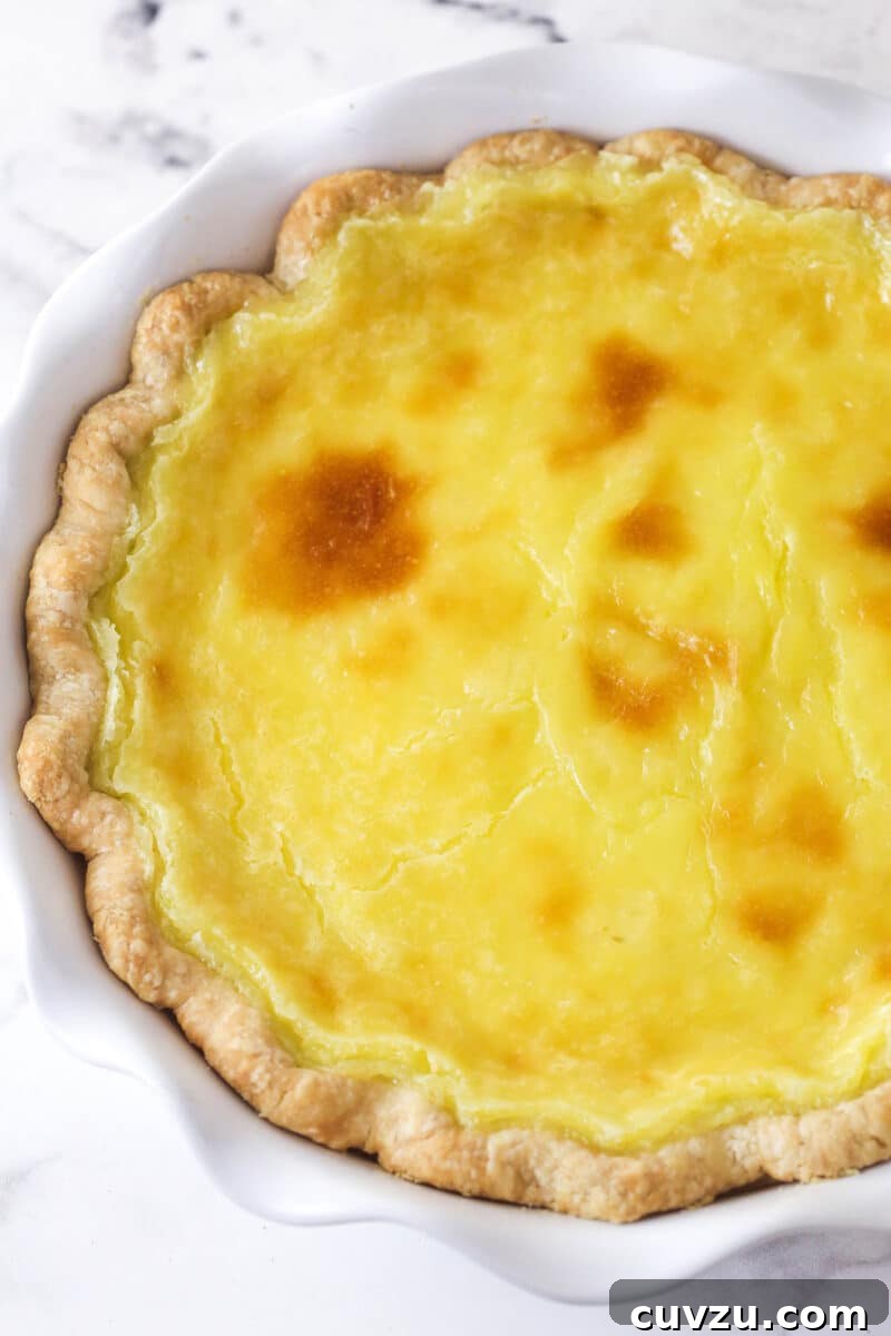 Cool before refrigerating. Overhead view of a coconut custard pie after its cooled